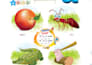 create kids learning books, alphabet and storybook scenes